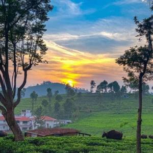 The Atmosphere Resort Kotagiri By LexStays