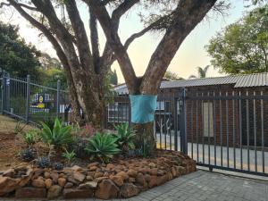 NOOii Open Plan Room