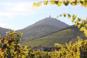 Hotels Ibis Budget Selestat : photos des chambres
