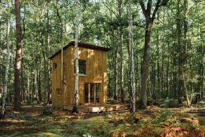 Youza ecolodge cabanes dans les arbres