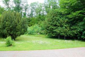 Maisons de vacances Maison de 3 chambres avec jardin amenage a Mitzach : photos des chambres