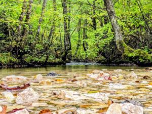 Cottage Tsivtskala in Racha, near Shaori