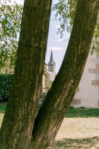 Maisons de vacances Maison Leonce • Le L : photos des chambres