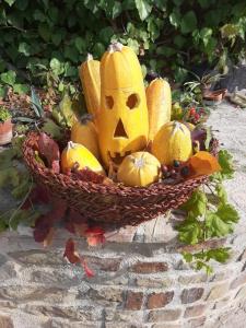 Agriturismo LAntico Oliveto