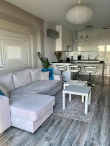 Apartament Winnica