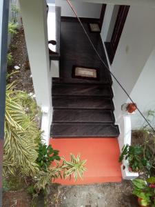 Coconut Grove