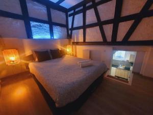 Appartements Aux Plaisirs d'Alsace Centre Historique : photos des chambres