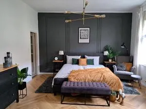 思华克兹公寓 - 佩奇