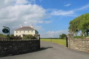 Springfield House B&B - Ardfield