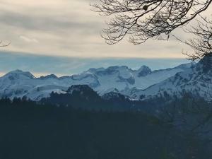 Appartements Logement 6 pers au coeur des montagnes pyreneennes : photos des chambres