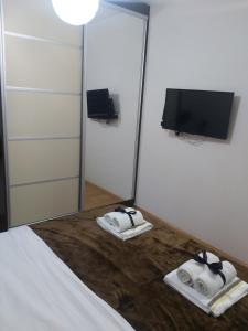 Apartman Lav