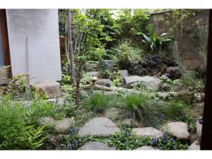 Mugi no oyado - Vacation STAY 13498