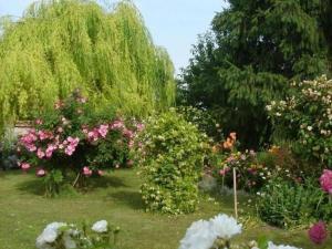 Charmant Gîte au Calme près de Pithiviers avec Jardin et Terrasse - FR-1-590-133
