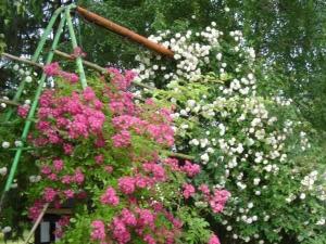 Charmant Gîte au Calme près de Pithiviers avec Jardin et Terrasse - FR-1-590-133