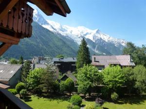 Bel appartement à Chamonix, proche du centre et des pistes, pour 6 personnes, avec parking et wifi - FR-1-343-168