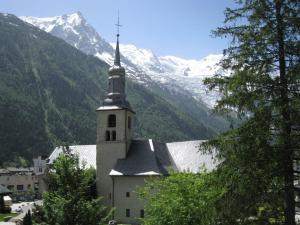 Charmant duplex au cœur de Chamonix avec wifi et animaux admis - FR-1-343-183