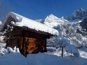 Charmant mazot avec jardin, animaux admis, parking, wifi - FR-1-343-215