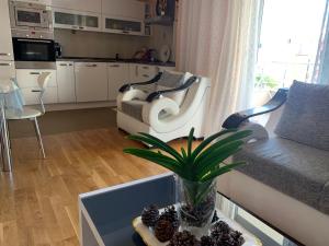 Sunny Apartment Petrovac