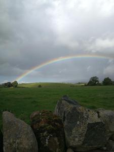 Sunny Mount Glamping Pod