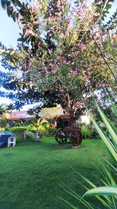 SEAVIEW BEACH RESORT