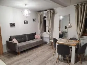 Apartament Kominkowy przy Parku - Białowąs