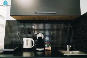 Pod Brzozami Apartamenty Wiejska