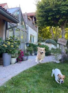 Horenbecca Bistro & Wellness