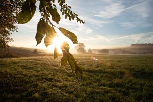 Seehof direkt am See