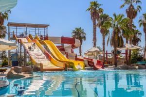 Amphoras Aqua Adults Friendly