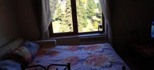 Ски студио Хрис в комплекс Лъки Пампорово