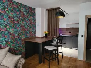 Proximus 1 - Sremska Mitrovica