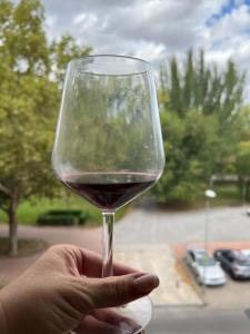 Un Rincón con vistas al parque Wifi junto a Catedral by Apartamentos Logrono