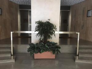 Apartment mit 3 Schlafzimmern