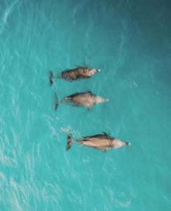 Pousada Três Coqueiros