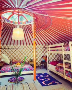 Tent (4 Adults) Mimosa Yurt