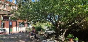 Apartamentos en sierra de gata la Noguera 2 - Cilleros