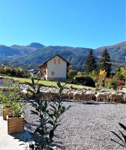 Le Pre Fleuri a Guillestre - Appartements neufs classes Meubles de Tourisme 3 etoiles : photos des chambres