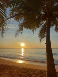 Frangipani Beach Villa - ホテル, タンガラ