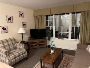 Deluxe Ski On Off 1BR Suite Sleeps 4 on Jiminy Mtn
