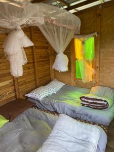 Khaokhopimphupha farmstay เขาค้อพิมภูผาฟาร์มสเตย์ ไม่มีไฟฟ้า น้ำจากน้ำตกธรรมชาติ Low cabon with Sustainability cares
