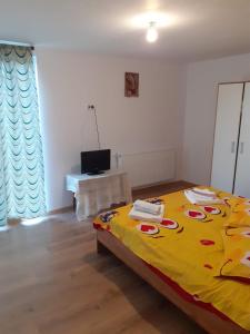 Pensiune de inchiriat Glajerie Rasnov