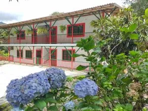 Casa Flórez Hotel Campestre - 伊瓦格