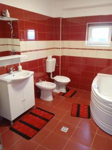 Pensiune de inchiriat Glajerie Rasnov