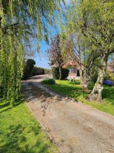 Appartements Gite du bois des sapins : photos des chambres