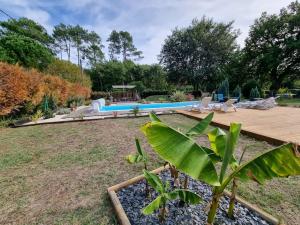 Villas La Cabane au Carbet Piscine chauffee au calme dans la nature : photos des chambres
