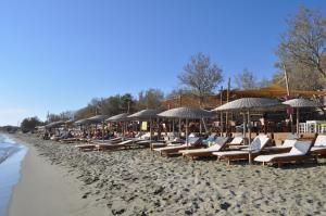 Golden Beach Hotel & Apartments Tinos Greece