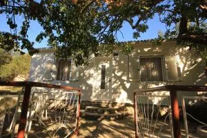 Seaside holiday house Cove Rogacic, Vis - 8887 - Rogačić