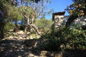 Seaside holiday house Cove Rogacic, Vis - 8886