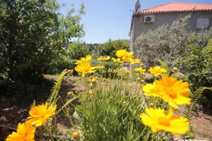 Apartments and rooms with parking space Srebreno, Dubrovnik - 8959