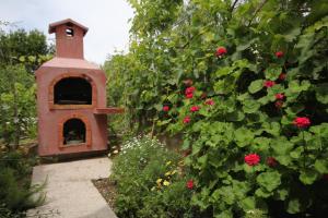 Apartments with a parking space Mlini, Dubrovnik - 8995